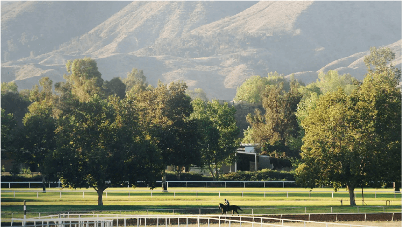 GALWAY DOWNS INTERNATIONAL HORSE TRIALS
